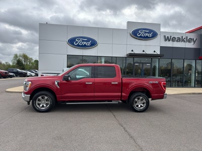 2021 Ford F-150 XLT
